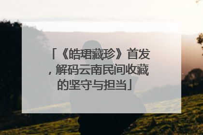 《皓珺藏珍》首发，解码云南民间收藏的坚守与担当