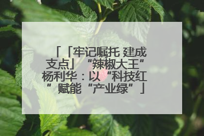 「牢记嘱托 建成支点」“辣椒大王”杨利华：以“科技红”赋能“产业绿”