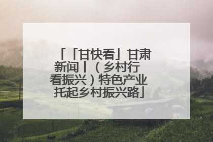 「甘快看」甘肃新闻丨（乡村行 看振兴）特色产业托起乡村振兴路