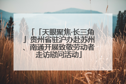 「天眼聚焦·长三角」贵州省驻沪办赴苏州、南通开展致敬劳动者走访慰问活动