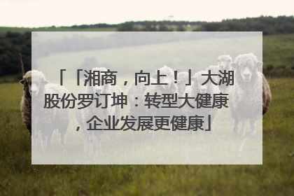「湘商，向上！」大湖股份罗订坤：转型大健康，企业发展更健康