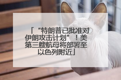 “特朗普已批准对伊朗攻击计划”！美第三艘航母将部署至以色列附近