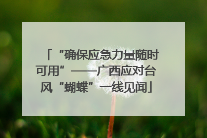 “确保应急力量随时可用”——广西应对台风“蝴蝶”一线见闻