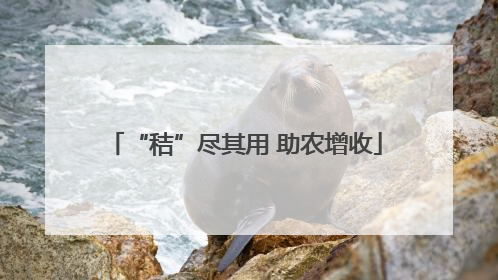 “秸”尽其用 助农增收