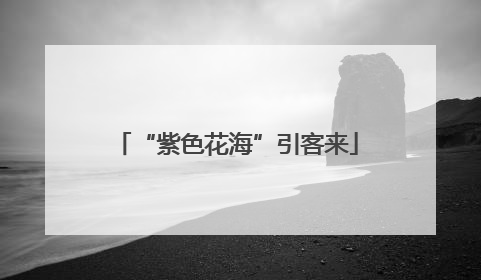 “紫色花海”引客来