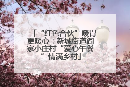 “红色合伙”暖胃更暖心：新城街道阎家小庄村“爱心午餐”情满乡村