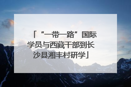 “一带一路”国际学员与西藏干部到长沙县湘丰村研学