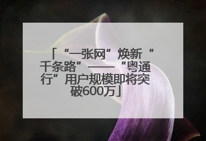 “一张网”焕新“千条路”——“粤通行”用户规模即将突破600万