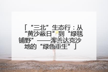 “三北”生态行：从“黄沙蔽日”到“绿毯铺野”——浑善达克沙地的“绿色重生”