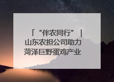 “伴农同行”｜山东农担公司助力菏泽巨野蛋鸡产业高质量发展