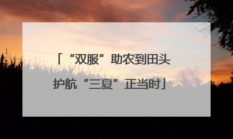 “双服”助农到田头 护航“三夏”正当时