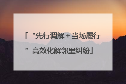 “先行调解＋当场履行”高效化解邻里纠纷