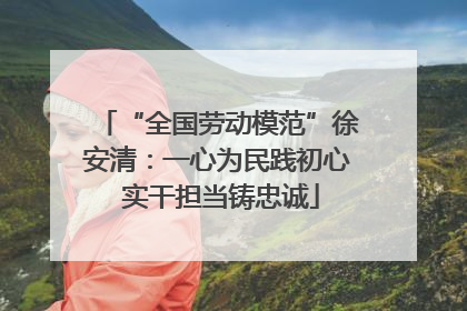 “全国劳动模范”徐安清：一心为民践初心 实干担当铸忠诚