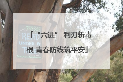 “六进” 利刃斩毒根 青春防线筑平安