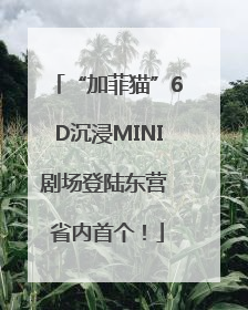 “加菲猫”6D沉浸MINI剧场登陆东营 省内首个！