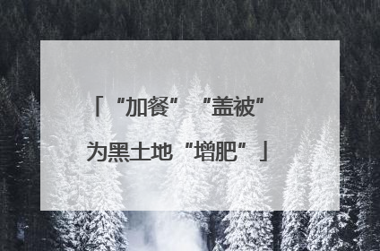 “加餐”“盖被” 为黑土地“增肥”