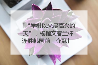 “学棋以来最高兴的一天”，杨楷文春兰杯连胜韩国前三夺冠