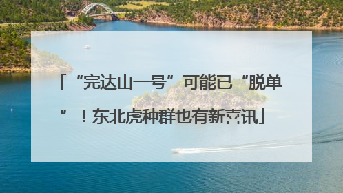 “完达山一号”可能已“脱单”！东北虎种群也有新喜讯