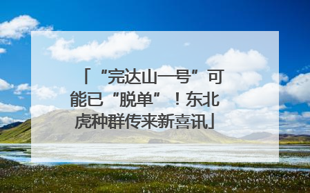 “完达山一号”可能已“脱单”！东北虎种群传来新喜讯
