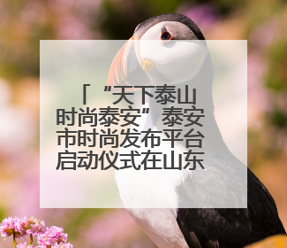 “天下泰山 时尚泰安”泰安市时尚发布平台启动仪式在山东服装职业学院举行