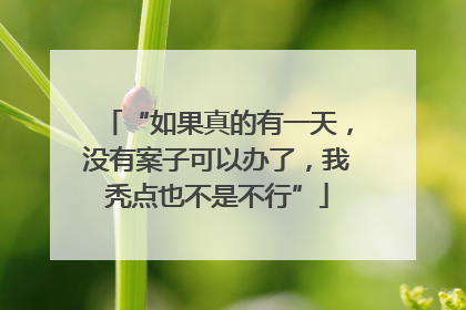 “如果真的有一天，没有案子可以办了，我秃点也不是不行”