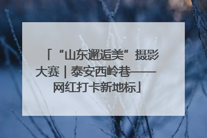 “山东邂逅美”摄影大赛｜泰安西岭巷——网红打卡新地标