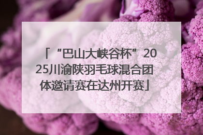 “巴山大峡谷杯”2025川渝陕羽毛球混合团体邀请赛在达州开赛