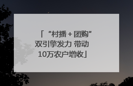 “村播＋团购”双引擎发力 带动10万农户增收