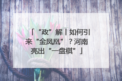“政”解丨如何引来“金凤凰”？河南亮出“一盘棋”