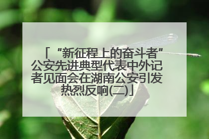 “新征程上的奋斗者”公安先进典型代表中外记者见面会在湖南公安引发热烈反响(二)