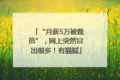 “月薪5万被裁员”，网上突然冒出很多！有猫腻