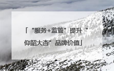 “服务+监管”提升“仰韶大杏”品牌价值