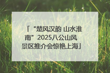 “楚风汉韵 山水淮南”2025八公山风景区推介会惊艳上海