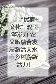 “民宿+文化”双引擎发力 农文旅融合发展激活天水市乡村游新活力