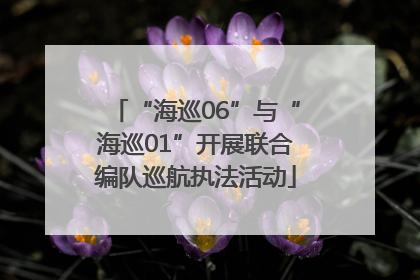 “海巡06”与“海巡01”开展联合编队巡航执法活动