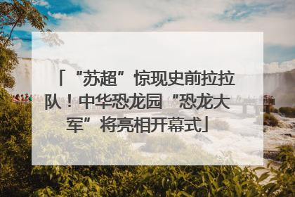 “苏超”惊现史前拉拉队！中华恐龙园“恐龙大军”将亮相开幕式