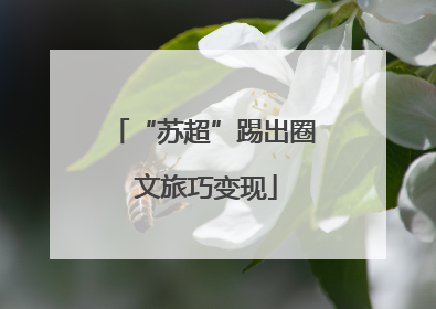 “苏超”踢出圈 文旅巧变现