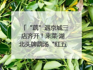 “藕”遇京城三店齐开！来菜·湖北头牌藕汤“红五月”再掀荆楚美食文化风暴