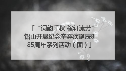 “词韵千秋 稼轩流芳”铅山开展纪念辛弃疾诞辰885周年系列活动（图）