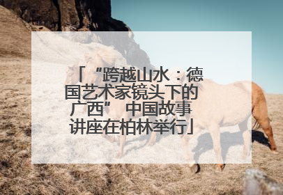 “跨越山水：德国艺术家镜头下的广西” 中国故事讲座在柏林举行