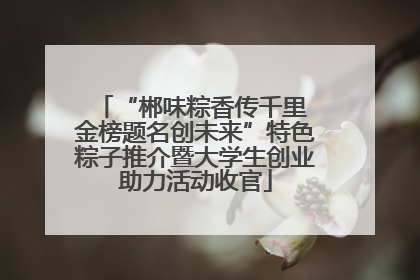 “郴味粽香传千里 金榜题名创未来”特色粽子推介暨大学生创业助力活动收官