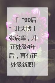 “90后”北大博士张宸珲，升正处级4年后，再有正处级新职