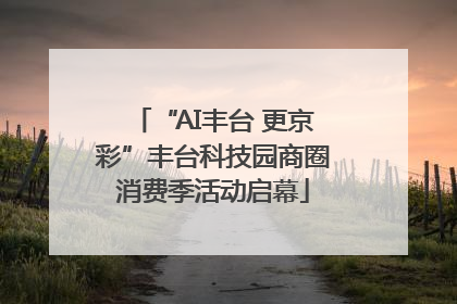“AI丰台 更京彩”丰台科技园商圈消费季活动启幕