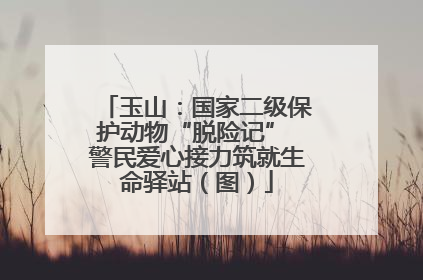 玉山：国家二级保护动物“脱险记” 警民爱心接力筑就生命驿站（图）