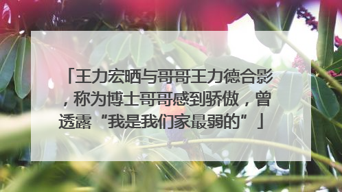 王力宏晒与哥哥王力德合影，称为博士哥哥感到骄傲，曾透露“我是我们家最弱的”