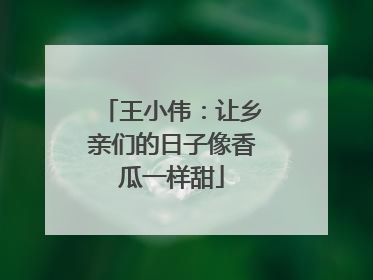 王小伟：让乡亲们的日子像香瓜一样甜