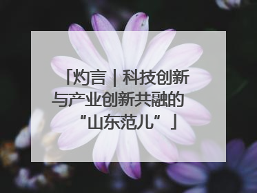 灼言｜科技创新与产业创新共融的“山东范儿”