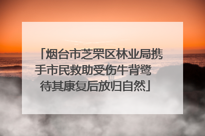 烟台市芝罘区林业局携手市民救助受伤牛背鹭 待其康复后放归自然