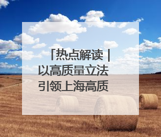 热点解读｜以高质量立法引领上海高质量发展