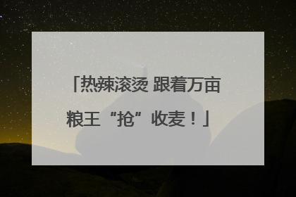 热辣滚烫 跟着万亩粮王“抢”收麦！